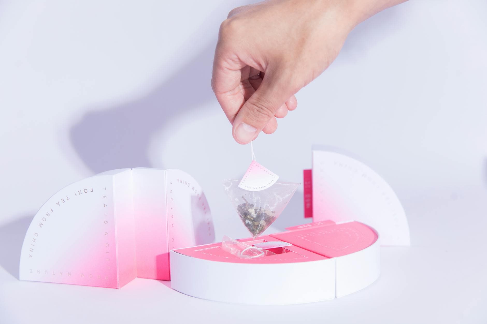 A designer tea bag held above packaging - string and tag construction visible