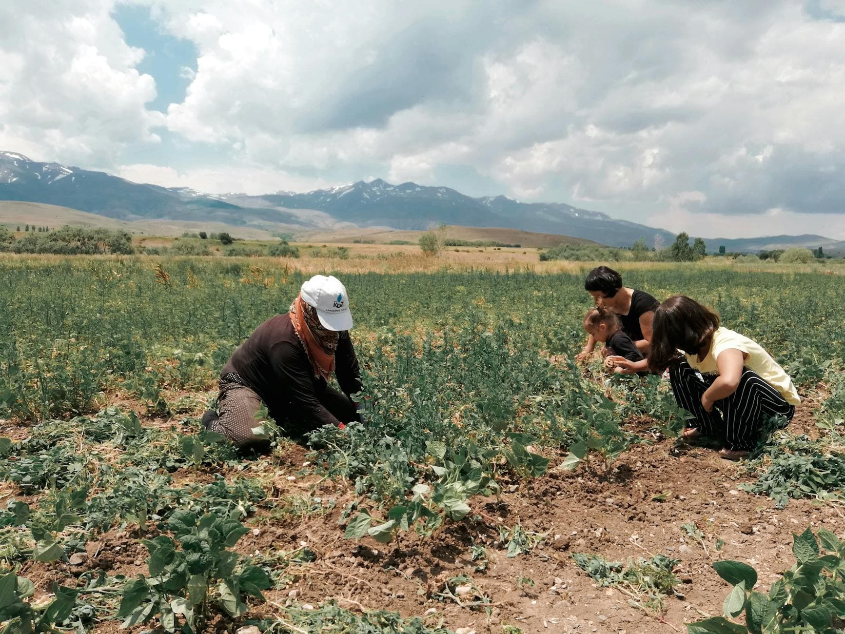 Family working together on a farm with mountain backdrop - the kind of multi-generational operation that defines Balkan herb farming