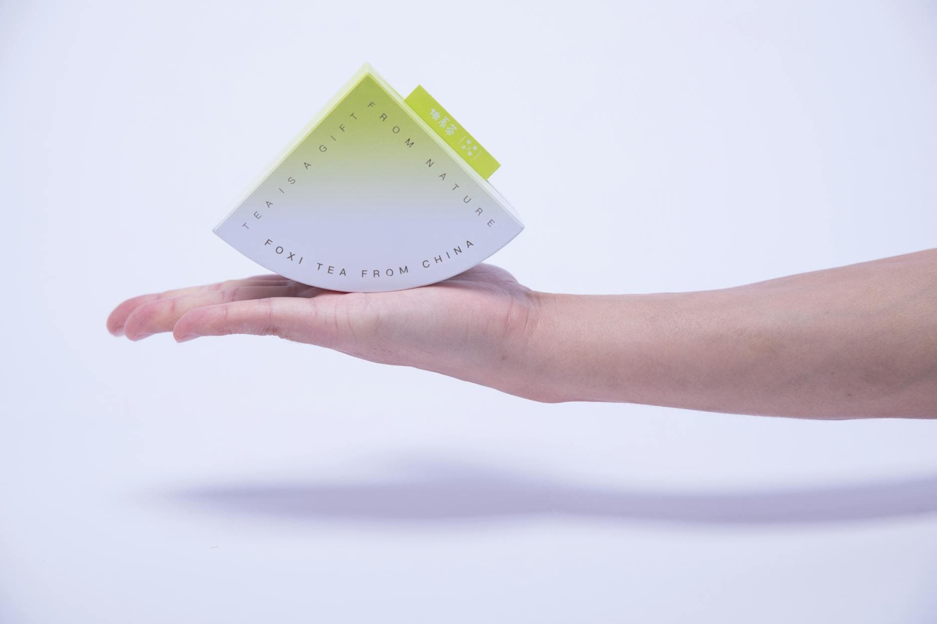 Hand hält eine Tee-Eigenmarken-Verpackung mit elegantem Farbverlauf und Naturmotiv auf weißem Hintergrund