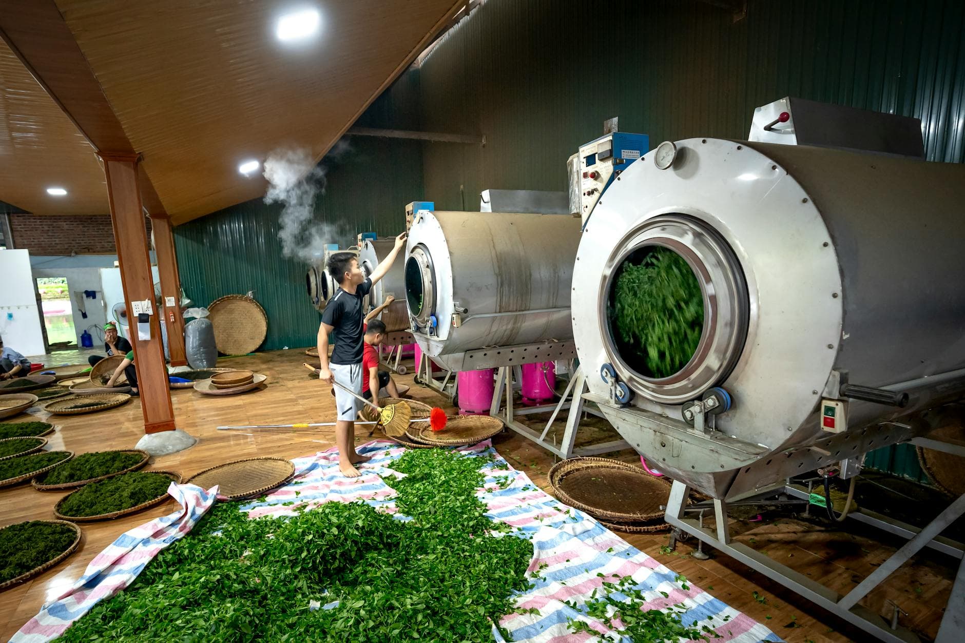 Industrial tea packaging line, paper bags running through a continuous-motion machine.
