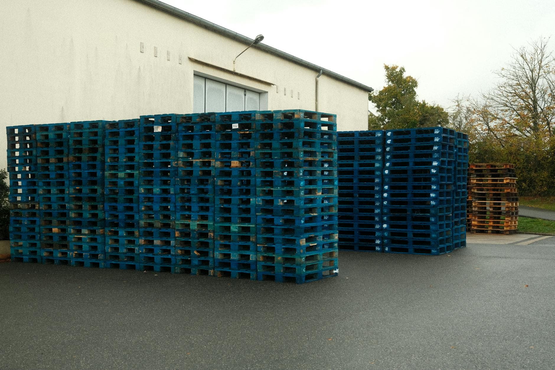 Tea cartons stacked on warehouse pallets ready for despatch from a European distribution centre.