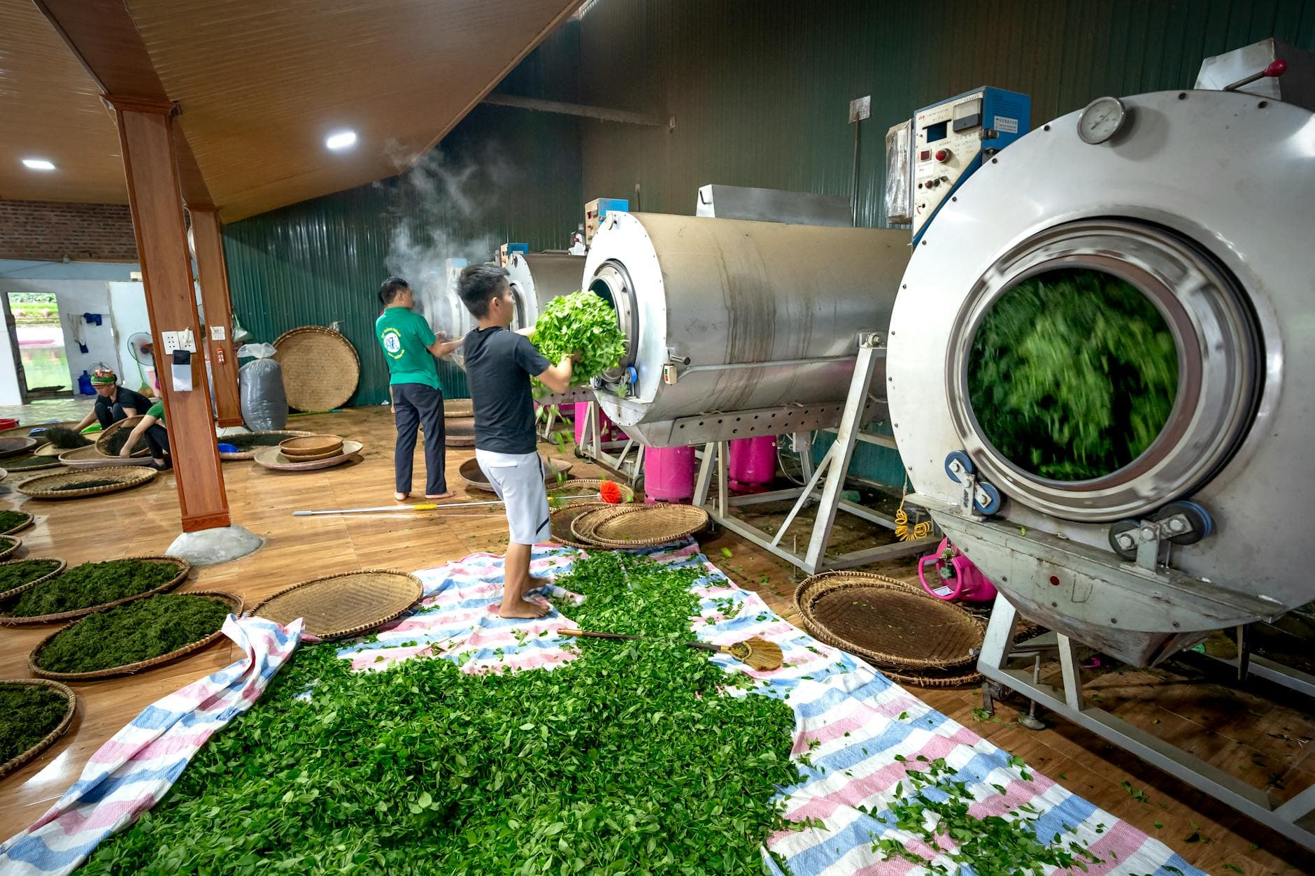 Worker monitoring a paper-tea-bag line in a clean industrial setting.
